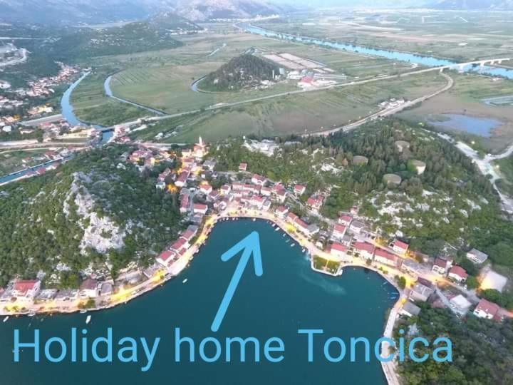 Toncica - Rogotin
