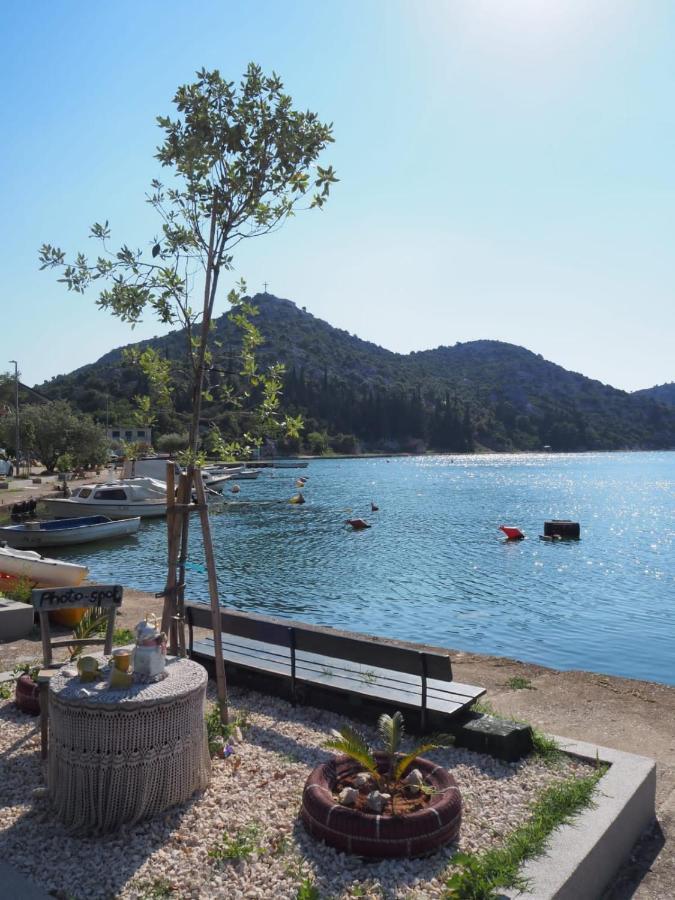 Toncica -