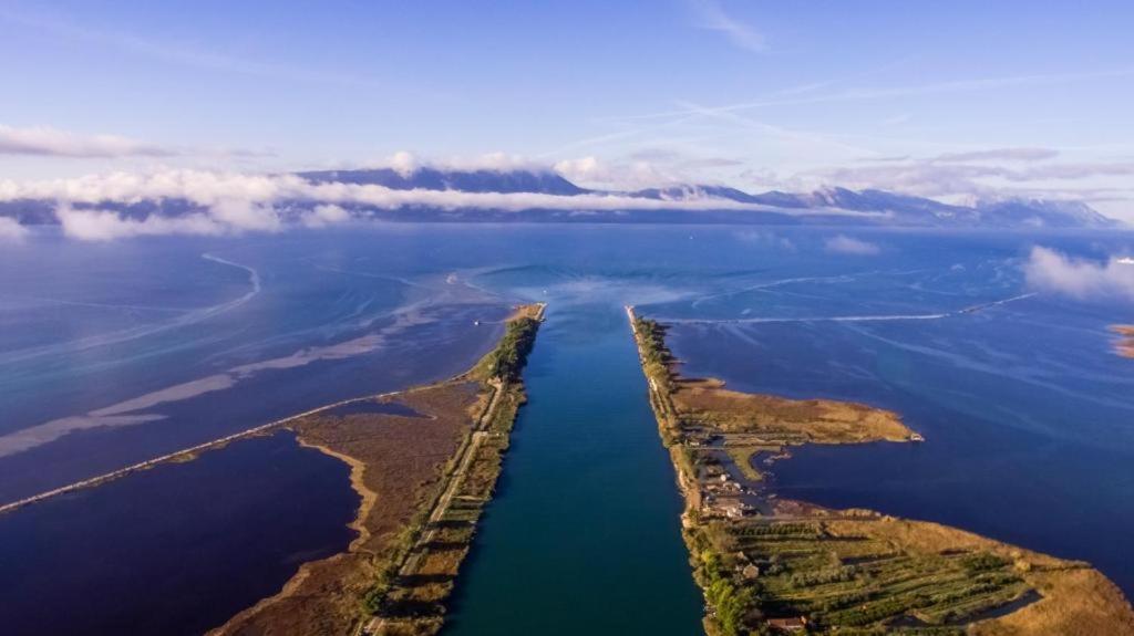 Toncica -